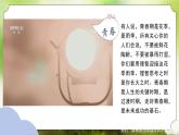 【核心素养】人教版初中生物七年级下册4.1.2《青春期》课件＋教案（含教学反思）