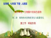 【核心素养】人教版初中生物七年级下册3.2.3《呼吸作用》课件＋教案（含教学反思）