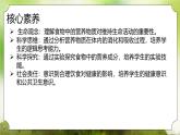 【核心素养】人教版初中生物七年级下册4.2.1《食物中的营养物质》课件＋课时练习+教案（含教学反思）