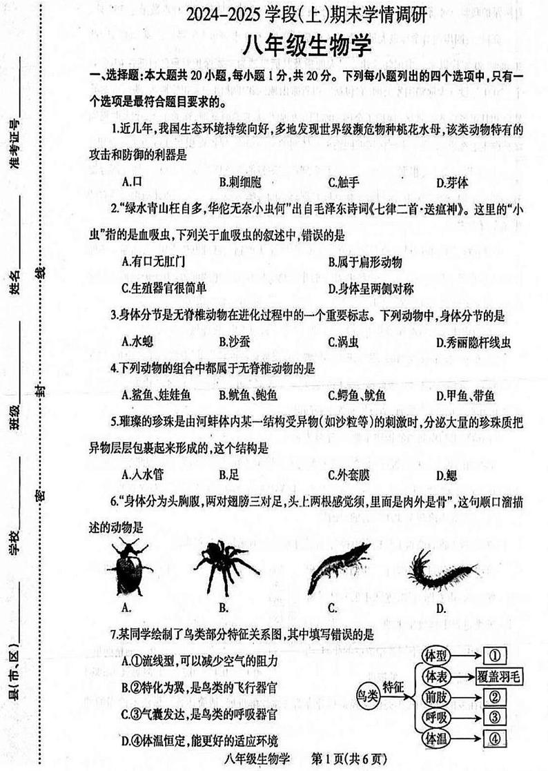 焦作市2024-2025学年八年级上学期期末生物试卷及答案第1页