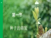 3.1.1 種子的萌發(fā) （課件）-2024--2025學(xué)年人教版生物七年級下冊