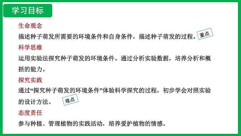 3.1.1 种子的萌发 （课件）-2024--2025学年人教版生物七年级下册第2页