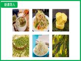 3.1.1 種子的萌發(fā) （課件）-2024--2025學(xué)年人教版生物七年級下冊