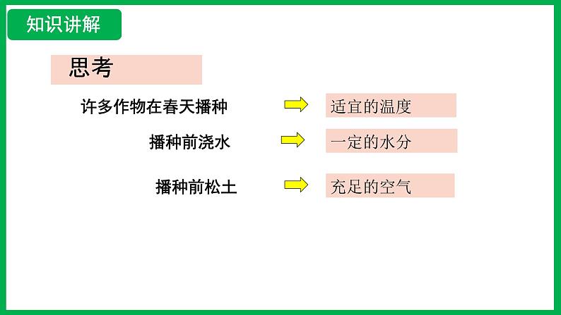 3.1.1 种子的萌发 （课件）-2024--2025学年人教版生物七年级下册第7页