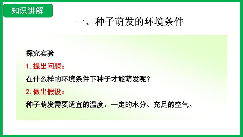 3.1.1 种子的萌发 （课件）-2024--2025学年人教版生物七年级下册第8页