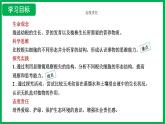 3.1.2 植株的生長(zhǎng) （課件）-2024--2025學(xué)年人教版生物七年級(jí)下冊(cè)