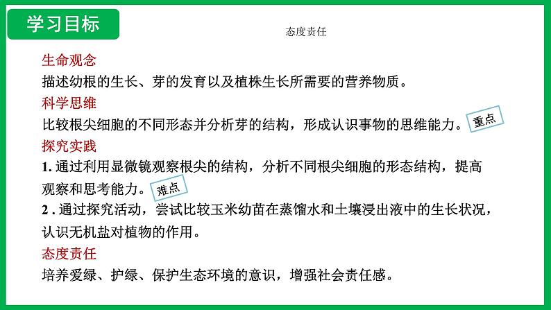 3.1.2 植株的生长 （课件）-2024--2025学年人教版生物七年级下册第2页