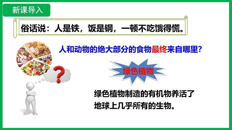 3.2.2 光合作用 （课件）-2024--2025学年人教版生物七年级下册第3页