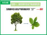 3.2.2 光合作用 （课件）-2024--2025学年人教版生物七年级下册