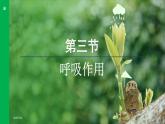 3.2.3  呼吸作用 （課件）-2024--2025學(xué)年人教版生物七年級(jí)下冊(cè)