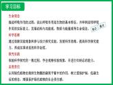 3.2.3  呼吸作用 （課件）-2024--2025學(xué)年人教版生物七年級(jí)下冊(cè)