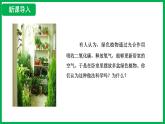 3.2.3  呼吸作用 （課件）-2024--2025學(xué)年人教版生物七年級(jí)下冊(cè)