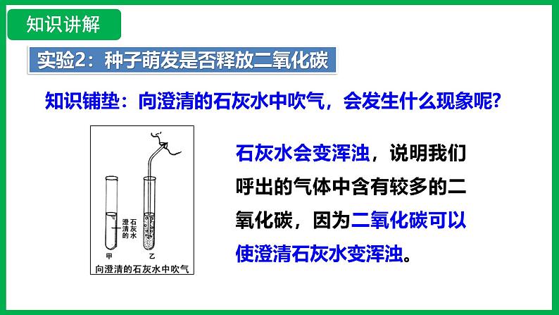 3.2.3  呼吸作用 （课件）-2024--2025学年人教版生物七年级下册第8页