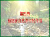 3.2.4 植物在自然界中的作用 （课件）-2024--2025学年人教版生物七年级下册