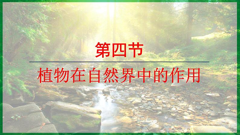 3.2.4 植物在自然界中的作用 （课件）-2024--2025学年人教版生物七年级下册第1页