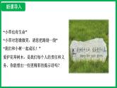 3.2.4 植物在自然界中的作用 （课件）-2024--2025学年人教版生物七年级下册