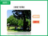 3.2.4 植物在自然界中的作用 （课件）-2024--2025学年人教版生物七年级下册