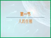 4.1.1 人的生殖 （課件）-2024--2025學(xué)年人教版生物七年級下冊