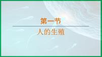 七年级下册（2024）第一节 人的生殖多媒体教学ppt课件