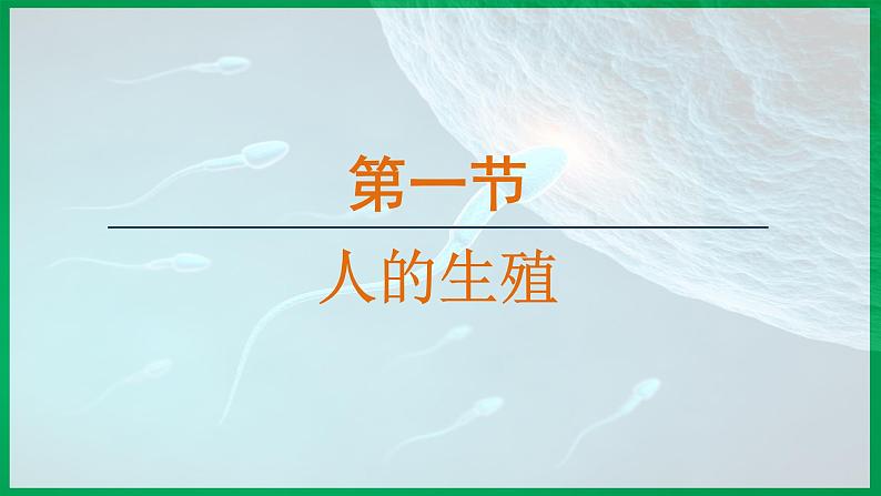 4.1.1 人的生殖 （课件）-2024--2025学年人教版生物七年级下册第1页