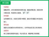 4.1.1 人的生殖 （課件）-2024--2025學(xué)年人教版生物七年級下冊