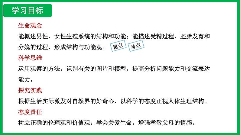 4.1.1 人的生殖 （课件）-2024--2025学年人教版生物七年级下册第2页