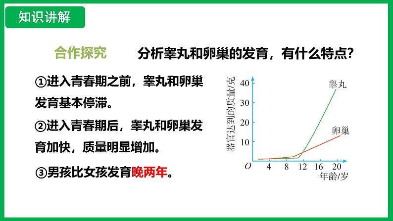 4.1.2 青春期 （课件）-2024--2025学年人教版生物七年级下册第7页