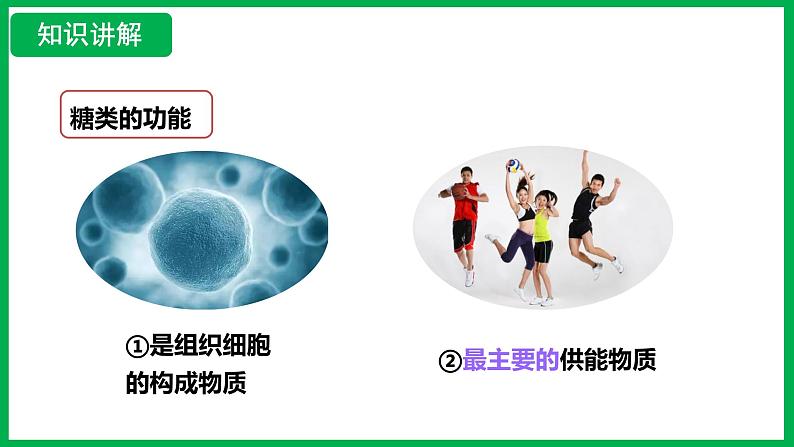 4.2.1 食物中的营养物质 （课件）-2024--2025学年人教版生物七年级下册第7页