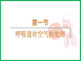 4.3.1 呼吸道对空气的处理 （课件）-2024--2025学年人教版生物七年级下册