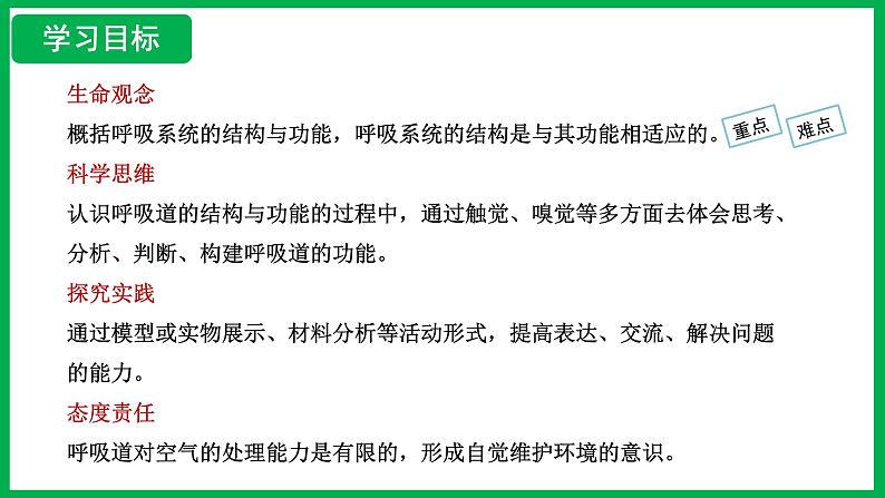 4.3.1 呼吸道对空气的处理 （课件）-2024--2025学年人教版生物七年级下册第2页