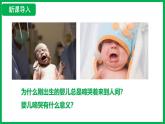 4.3.1 呼吸道对空气的处理 （课件）-2024--2025学年人教版生物七年级下册