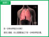 4.3.2 发生在肺内的气体交换 （课件）-2024--2025学年人教版生物七年级下册