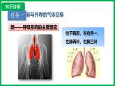 4.3.2 发生在肺内的气体交换 （课件）-2024--2025学年人教版生物七年级下册