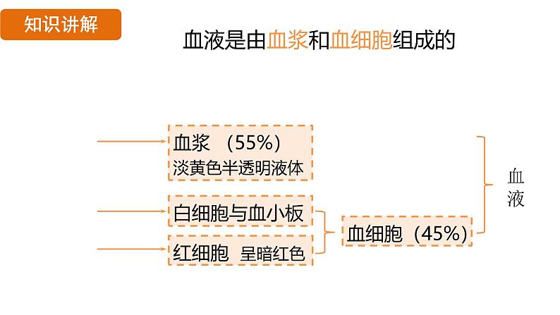 4.4.1 流动的组织——血液 （课件）-2024--2025学年人教版生物七年级下册第7页