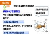4.4.2 血流的管道——血管 （課件）-2024--2025學(xué)年人教版生物七年級(jí)下冊(cè)