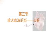 4.4.3 输送血液的泵——心脏 （课件）-2024--2025学年人教版生物七年级下册