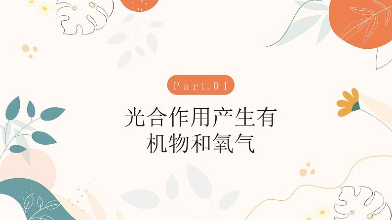 【核心素养目标】济南版初中生物七年级下册3.1.3《植物通过光合作用固定光能》课件第4页