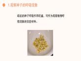 【核心素养目标】济南版初中生物七年级下册3.1.4《植物通过呼吸作用为生命活动提供能量》课件