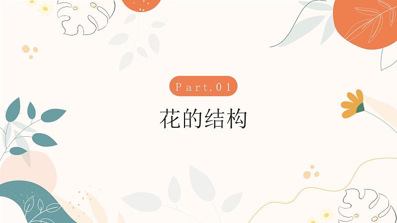 【核心素养目标】济南版初中生物七年级下册3.2.1《花是被子植物特有的生殖器官》课件第4页