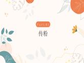 【核心素养目标】济南版初中生物七年级下册3.2.2《花经过传粉和受精后形成果实》课件