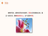 【核心素养目标】济南版初中生物七年级下册3.2.2《花经过传粉和受精后形成果实》课件