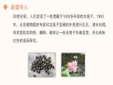 【核心素养目标】济南版初中生物七年级下册3.2.3《种子萌发需要适宜的条件》课件