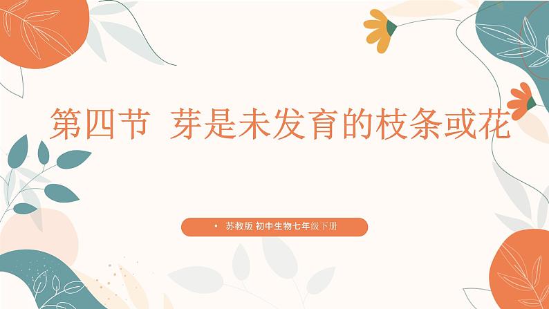 【核心素养目标】济南版初中生物七年级下册3.2.4《芽是未发育的枝条或花》课件第1页