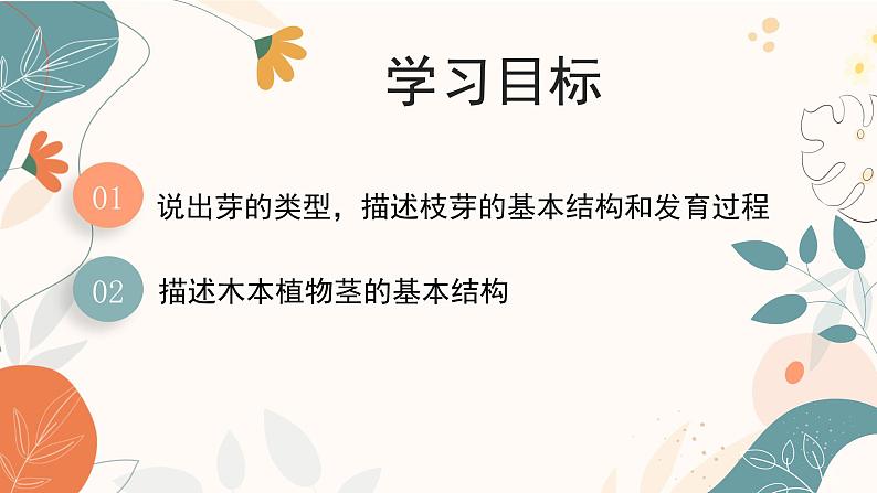 【核心素养目标】济南版初中生物七年级下册3.2.4《芽是未发育的枝条或花》课件第3页