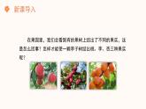 【核心素养目标】济南版初中生物七年级下册4.1.1《无性生殖保持了生物遗传特征的稳定》课件
