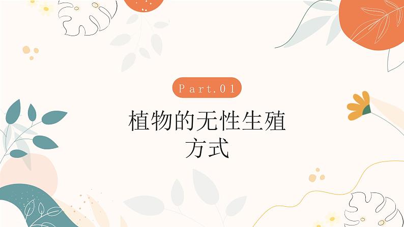 【核心素养目标】济南版初中生物七年级下册4.1.1《无性生殖保持了生物遗传特征的稳定》课件第4页