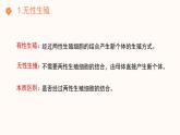 【核心素养目标】济南版初中生物七年级下册4.1.1《无性生殖保持了生物遗传特征的稳定》课件