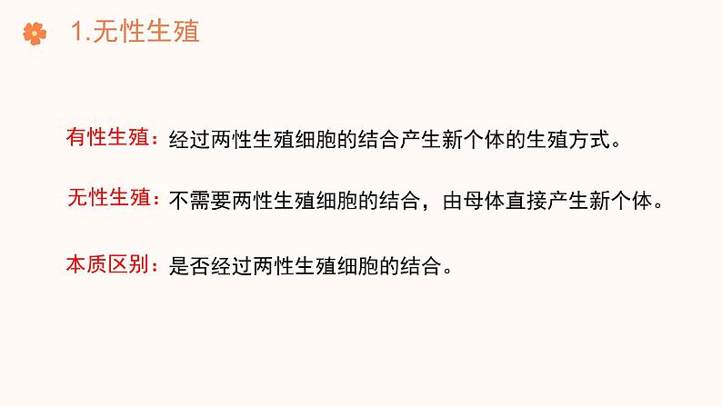 【核心素养目标】济南版初中生物七年级下册4.1.1《无性生殖保持了生物遗传特征的稳定》课件第5页