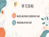 【核心素养目标】济南版初中生物七年级下册4.2.1《婴儿从受精卵发育而来》课件