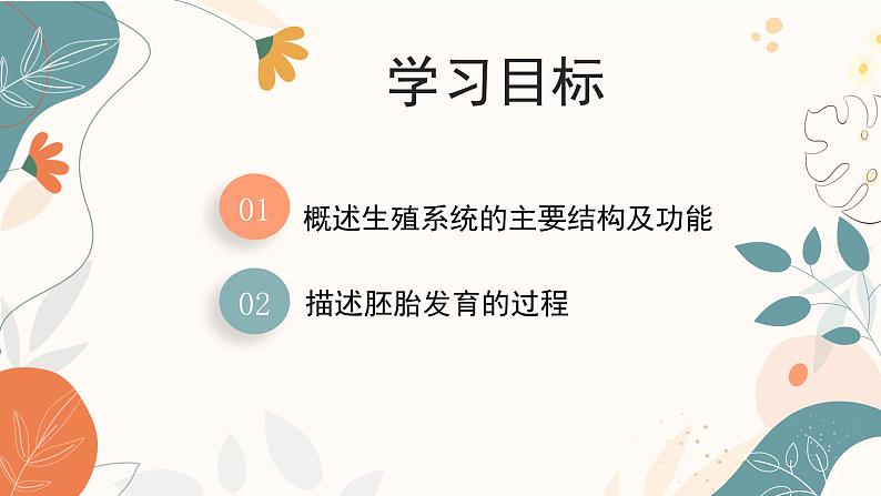 【核心素养目标】济南版初中生物七年级下册4.2.1《婴儿从受精卵发育而来》课件第3页